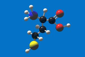 半胱氨酸數 半胱氨酸數