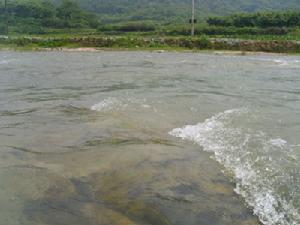 曹娥江為省級風景名勝區