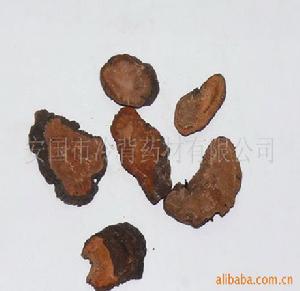 葛上亭長[葛上亭長]