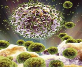 人類愛滋病 人類愛滋病