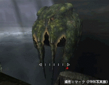 “山神”浮岳龍