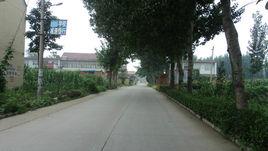 土門村[河南省林州市採桑鎮下轄村]