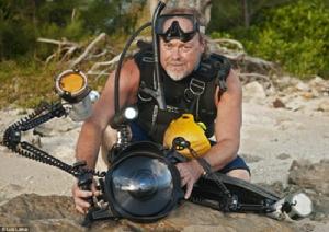 維斯·斯克里斯 維斯·斯克里斯