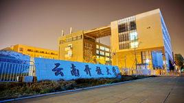 雲南開放大學 雲南開放大學