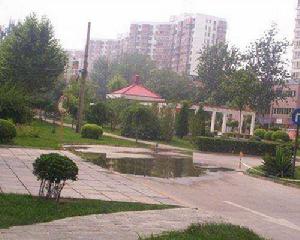 麗景馨居 麗景馨居