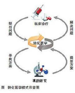 轉化醫學 轉化醫學