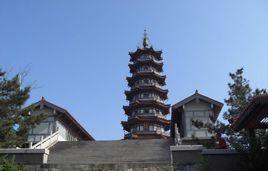 煙臺塔山風景區 煙臺塔山風景區