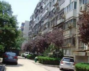 金成東苑 金成東苑