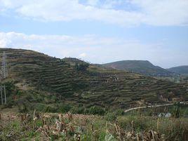 班莊村[雲南大理州大理市鳳儀鎮下轄村]
