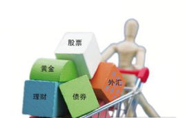 非標準化債權資產 非標準化債權資產