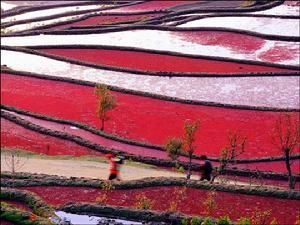 香巴拉王國  風光