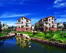 荷坳社區 荷坳社區