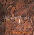 戟葉石葦 戟葉石葦