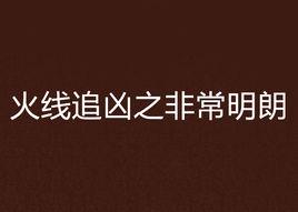 火線追兇之非常明朗 火線追兇之非常明朗