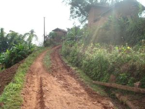 舊房子自然村 舊房子自然村