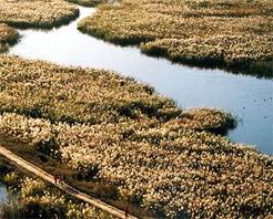 鼎湖灣旅遊景區 鼎湖灣旅遊景區