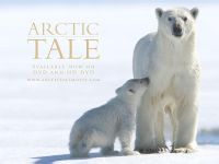 極地熊寶貝 極地熊寶貝