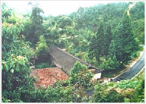 嶺頭鄉[慶元縣]