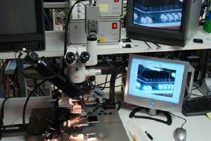 Isaiah架構示意圖