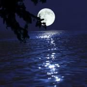 月光如水 月光如水