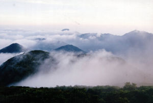 南嶺自然保護區 南嶺自然保護區