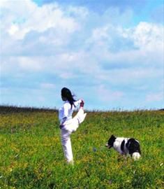 人犬瑜伽 人犬瑜伽