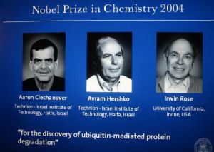 諾貝爾化學獎