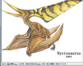 夜翼龍 夜翼龍
