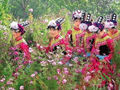 （圖）羌族姑娘參加新年盛會