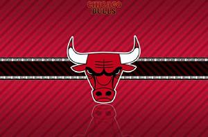 芝加哥公牛隊 芝加哥公牛隊
