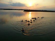 黃河口生態旅遊區