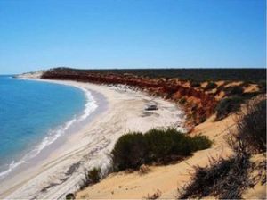 西澳大利亞鯊魚海灣 西澳大利亞鯊魚海灣
