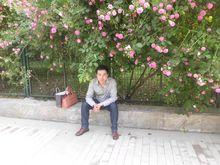 金洋[自由體詩歌寫作者]