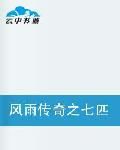 風雨傳奇之血狼 風雨傳奇之血狼