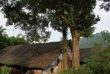 鹿鳴村[四川巴中通江縣瓦室鎮鹿鳴村]