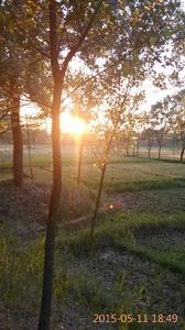 田老莊村 田老莊村