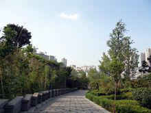 江津區小區環境