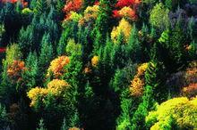 遊走滇川藏·動人四川