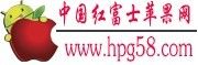中國紅富士蘋果網 中國紅富士蘋果網