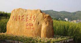 中國黃花菜之鄉 中國黃花菜之鄉