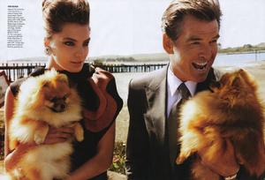 斯蒂爾傳奇 斯蒂爾傳奇