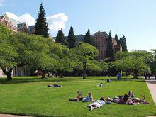 華盛頓大學草坪