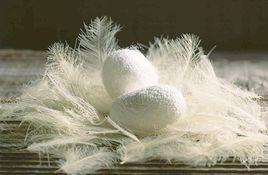 海安桑蠶繭 海安桑蠶繭