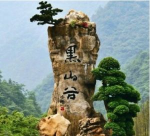 重慶萬盛國家地質公園 重慶萬盛國家地質公園