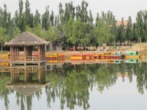 烏海植物園 烏海植物園