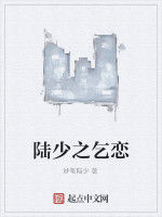 陸少之乞戀 陸少之乞戀