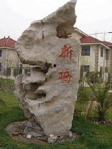 新橋[上海松江新橋鎮]