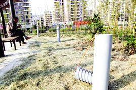 金港公園 金港公園