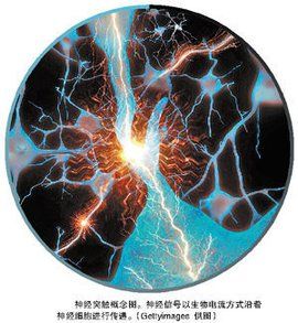 生物電流 生物電流