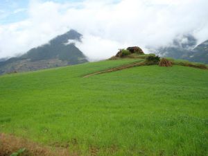 西馬路村 西馬路村